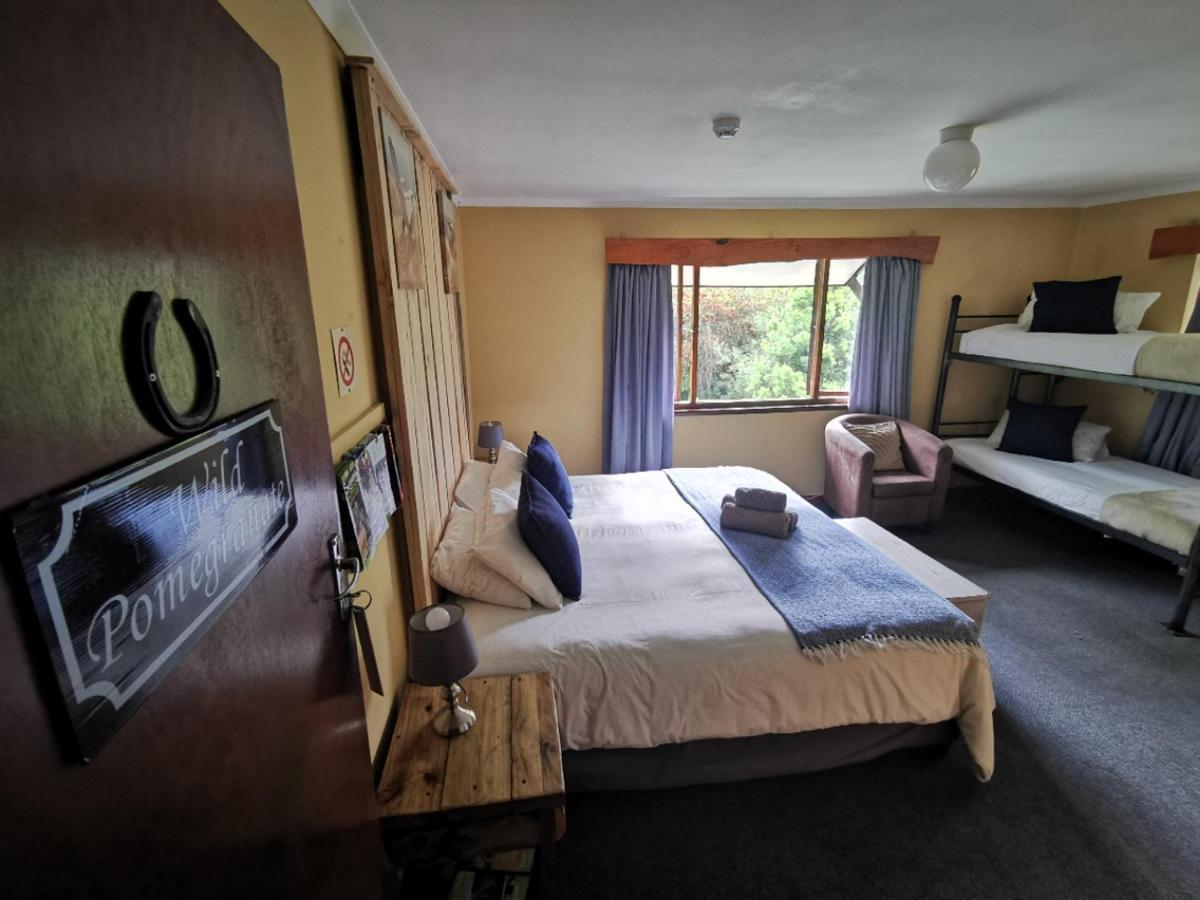 Tsitsikamma Backpackers Pansiyon Stormsrivier Dış mekan fotoğraf