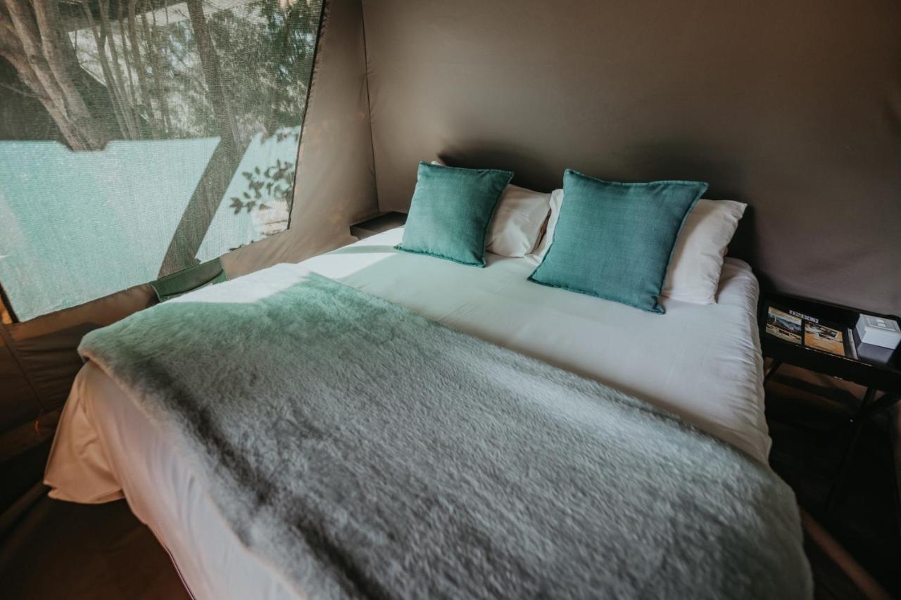 Tsitsikamma Backpackers Pansiyon Stormsrivier Dış mekan fotoğraf