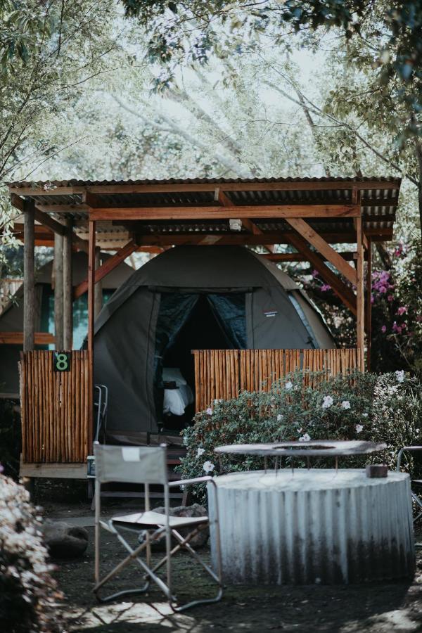 Tsitsikamma Backpackers Pansiyon Stormsrivier Dış mekan fotoğraf