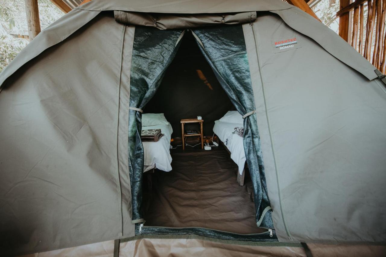 Tsitsikamma Backpackers Pansiyon Stormsrivier Dış mekan fotoğraf