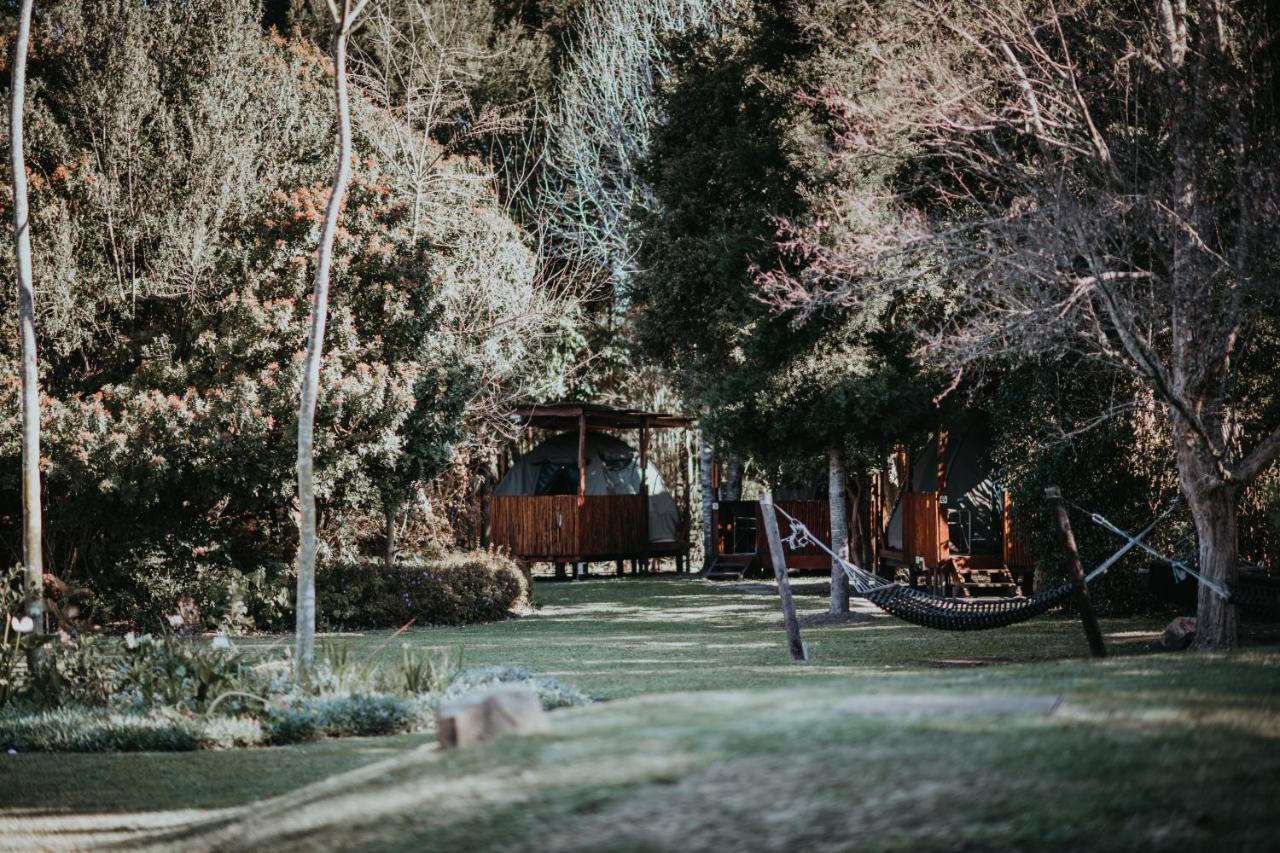 Tsitsikamma Backpackers Pansiyon Stormsrivier Dış mekan fotoğraf